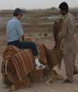 iran, kerman, camel riding