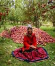 iran, iranian girl in front of pomogranate trees iran, iranian girl in front of pomogranate trees