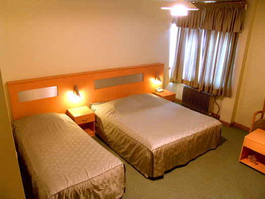 Shiraz Arg Hotel