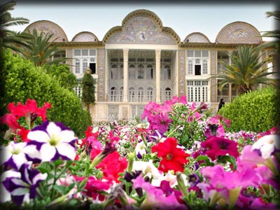 Petunia in Eram Garden