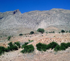 iran_shiraz_derak_mountain