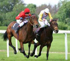 iran_horse_riding