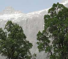 iran,shiraz,mourgol,mountain