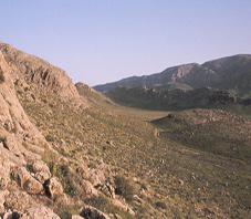 iran_fars_bamu_national_park