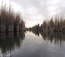 iran_fars_parishan_lake