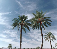iran_ahvaz