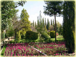 Eram Garden Shiraz