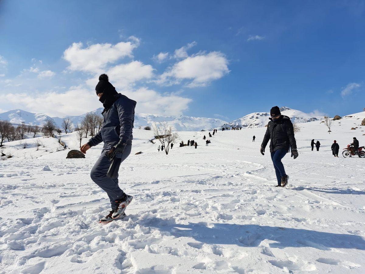 Freestyle Ski