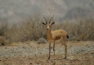 Nature & vie sauvage