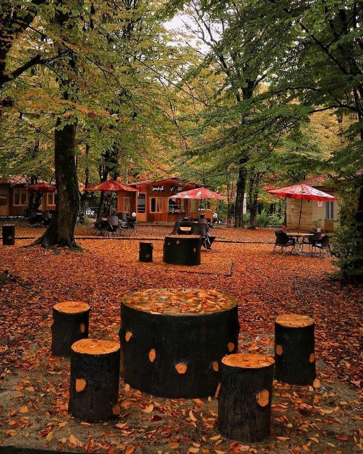 Parc National de Golestan