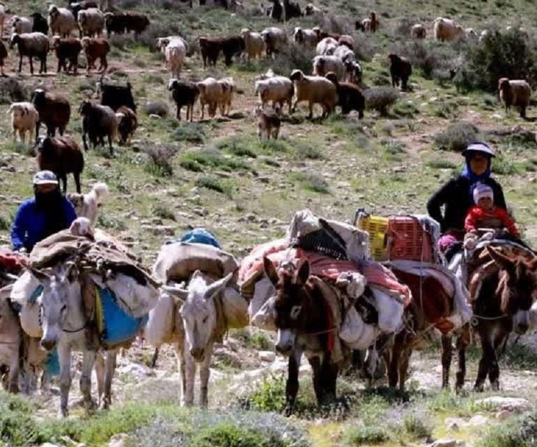 Gheshlagh & Tang-e Haigher Journey – Autumn & Winter Life of Iran’s Nomads