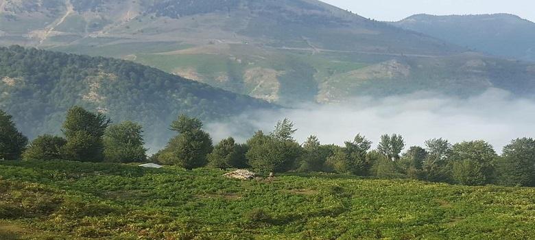Hirkani Forest Path, Soltanieh to Masouleh