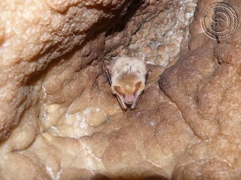 Kan Gohar Cave
