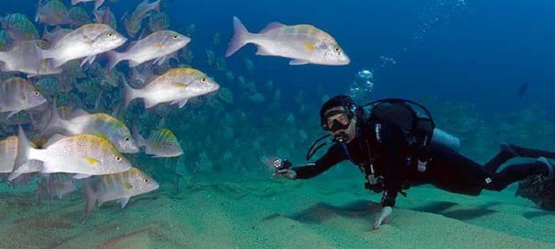 Experience Scuba Diving in Persian Gulf