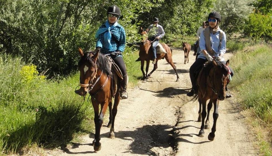 Magnificent horse riding in Iran