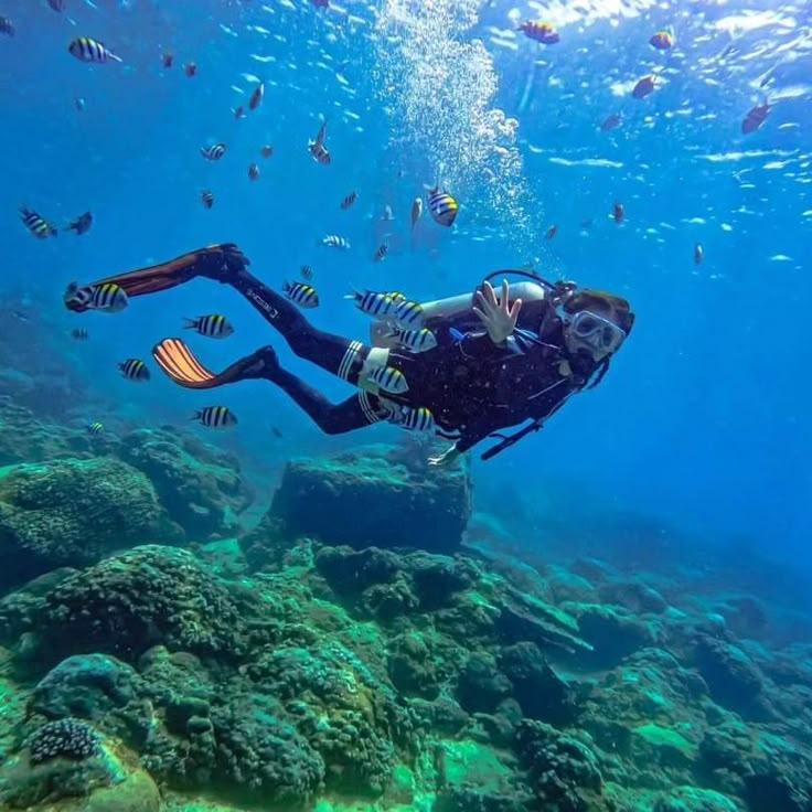 Iran Swimming and Scuba Tours