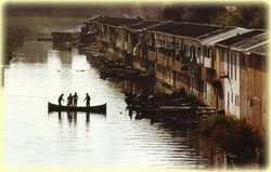 Bandar-e Anzali swamp