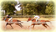 Horseback Riding Tour iran