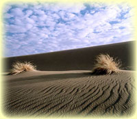 Isfahan Desert